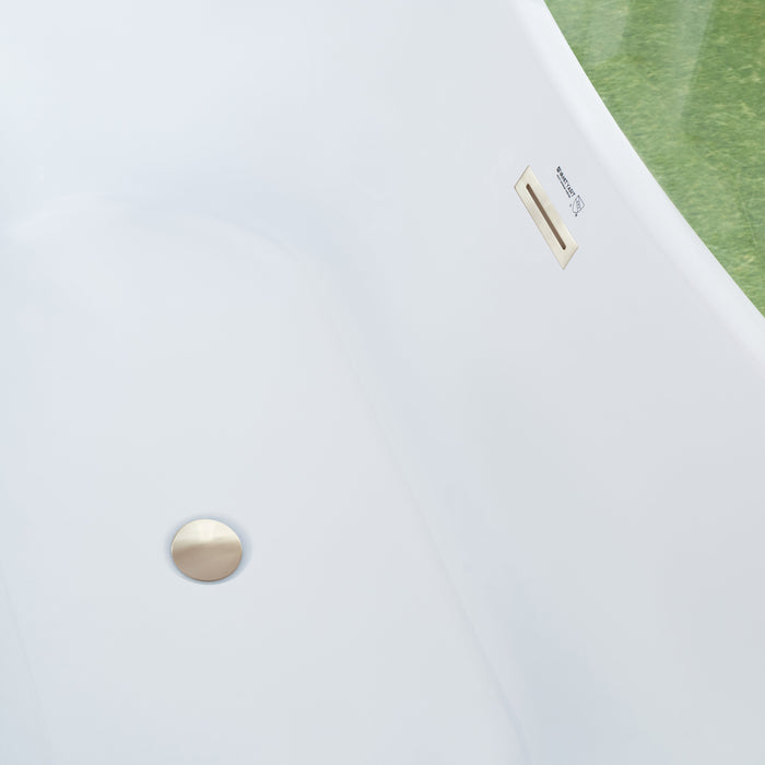 White / Brushed Nickel