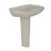 Bone
