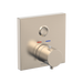 Brushed Nickel