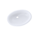 Cotton White