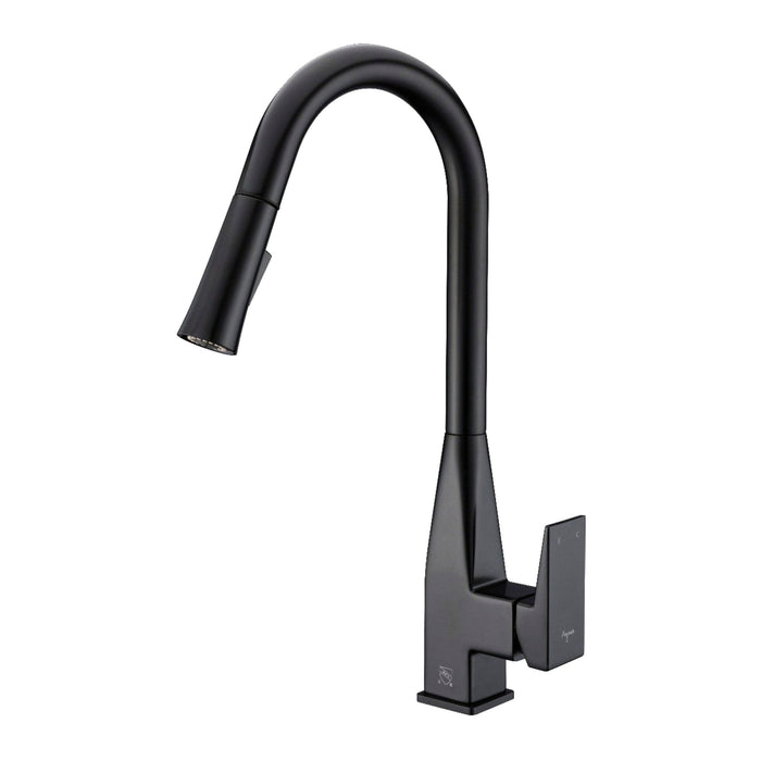 Mica Pull-Out Kitchen Faucet (Dual Spray)
