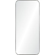Delphinus 20" x 46" Mirror